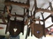 Click to view classifieds KOFBFWYL