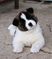 Click to view classifieds QWBPFZFC