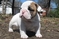 Click to view classifieds HWZFMDDT