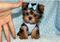 Click to view classifieds LVTELSXZ