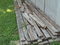Click to view classifieds WAZCJHKN