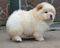 Click to view classifieds FPLWZWVA