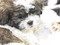 Click to view classifieds MVPYHGVX