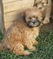 Click to view classifieds NGTYLOKM