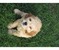 Click to view classifieds JYBJBTCY