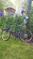 Click to view classifieds JHBBDSMM