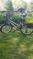 Click to view classifieds ZALTOWHD