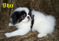 Click to view classifieds ACOCFNMT
