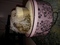 Click to view classifieds YTVGVHZY