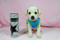 Click to view classifieds OGSXCDRC