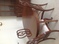 Click to view classifieds DSRKBPXQ