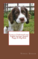 Click to view classifieds LRXMHXHU