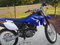 Click to view classifieds OUHTMPLC