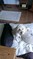 Click to view classifieds BGXYDTSD