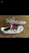Click to view classifieds WXKQQPPS