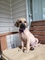 Click to view classifieds SVRMVZRH