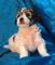 Click to view classifieds XWXCLHUR