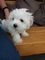 Click to view classifieds JLBQRYCR