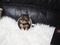 Click to view classifieds DOSJMOXA