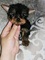 Click to view classifieds FBSGZPHX