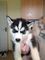 Click to view classifieds NQQEWSTC