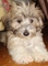 Click to view classifieds QFDXELDC
