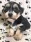 Click to view classifieds DRRKWXSL