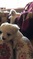 Click to view classifieds SUQXELLP
