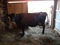 Click to view classifieds CWMEXTYC