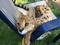 Click to view classifieds PSOWDOZY