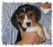 Click to view classifieds SHOFDFUL