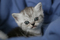 Click to view classifieds QWZKZKWM