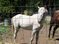 Click to view classifieds WYYPGUKP