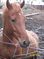 Click to view classifieds TGXZNRCO