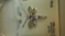 Click to view classifieds UFBZRMPU