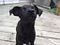 Click to view classifieds GQKBRVVV