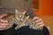 Click to view classifieds DUEQCFDD