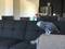 Click to view classifieds RMMCLFHL