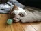 Click to view classifieds WSCBWUQH