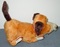 Click to view classifieds OXHTLFMU