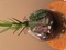 Click to view classifieds PLFCBVKP