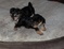 Click to view classifieds BLUWZOAA