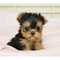 Click to view classifieds MPWGKRSK