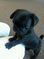 Click to view classifieds UDMDTAXT