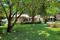 Click to view classifieds QRDSRDXT