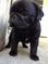 Click to view classifieds XHQBLWKM