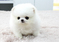 Click to view classifieds PRSSLWXJ