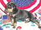 Click to view classifieds VEEZPUKN