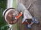 Click to view classifieds CUUTSWJE