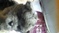 Click to view classifieds LQWOPDMY